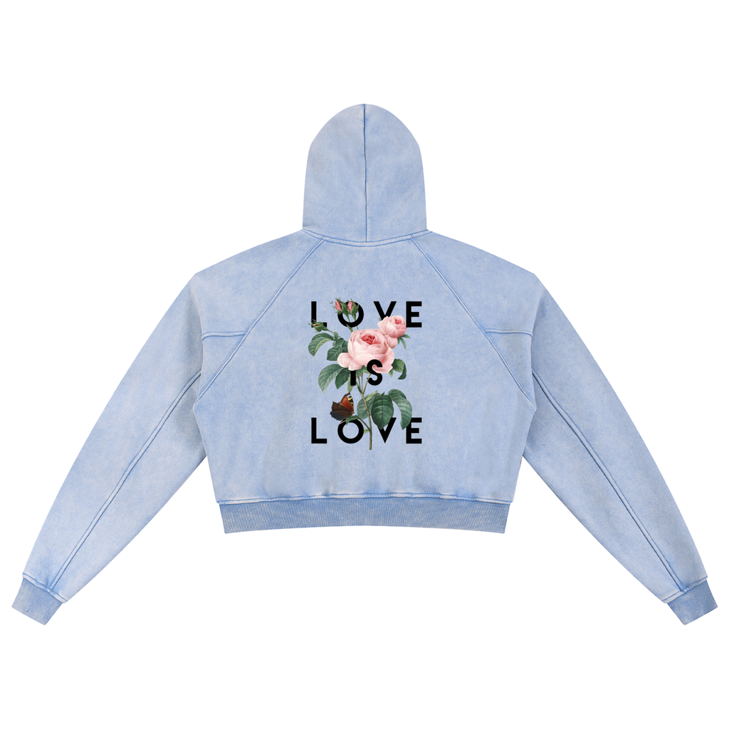 Snow Washed Cropped Hoodie